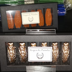 LA CIERGERIE DES PREMONTRES Coffret 6 CIGALETTES