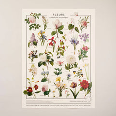 planche affiche de fleurs galerie botanique jolies planches vintage